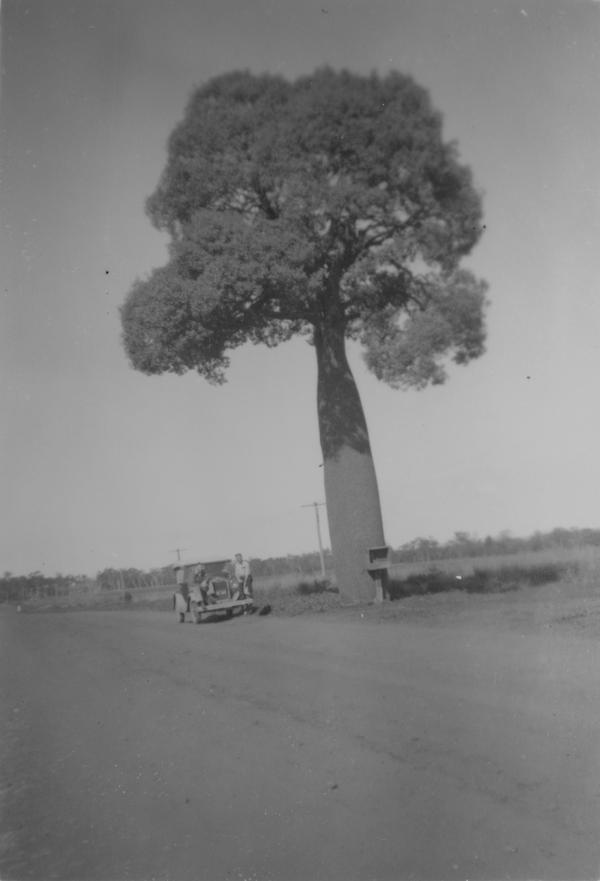 album Contact Prints